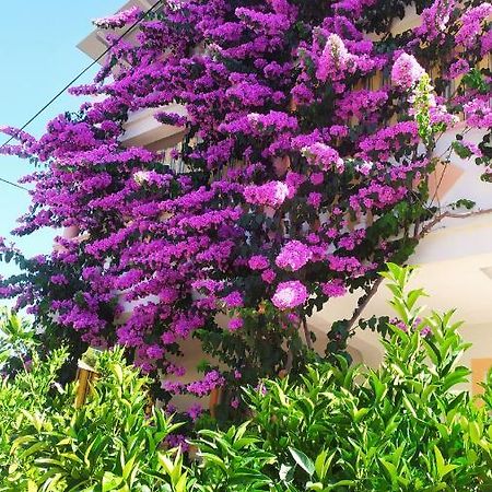 Villa Jadranka Pakoštane Buitenkant foto