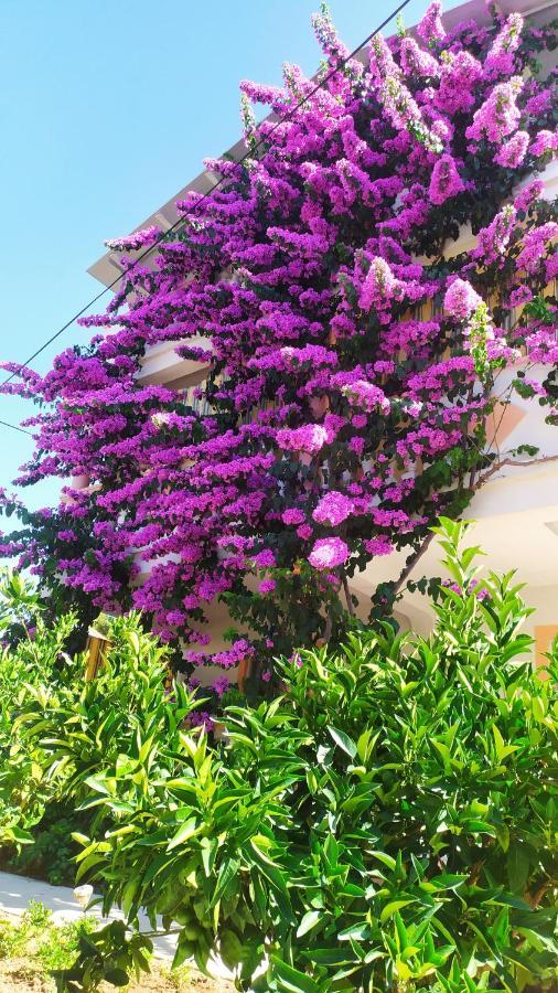 Villa Jadranka Pakoštane Buitenkant foto