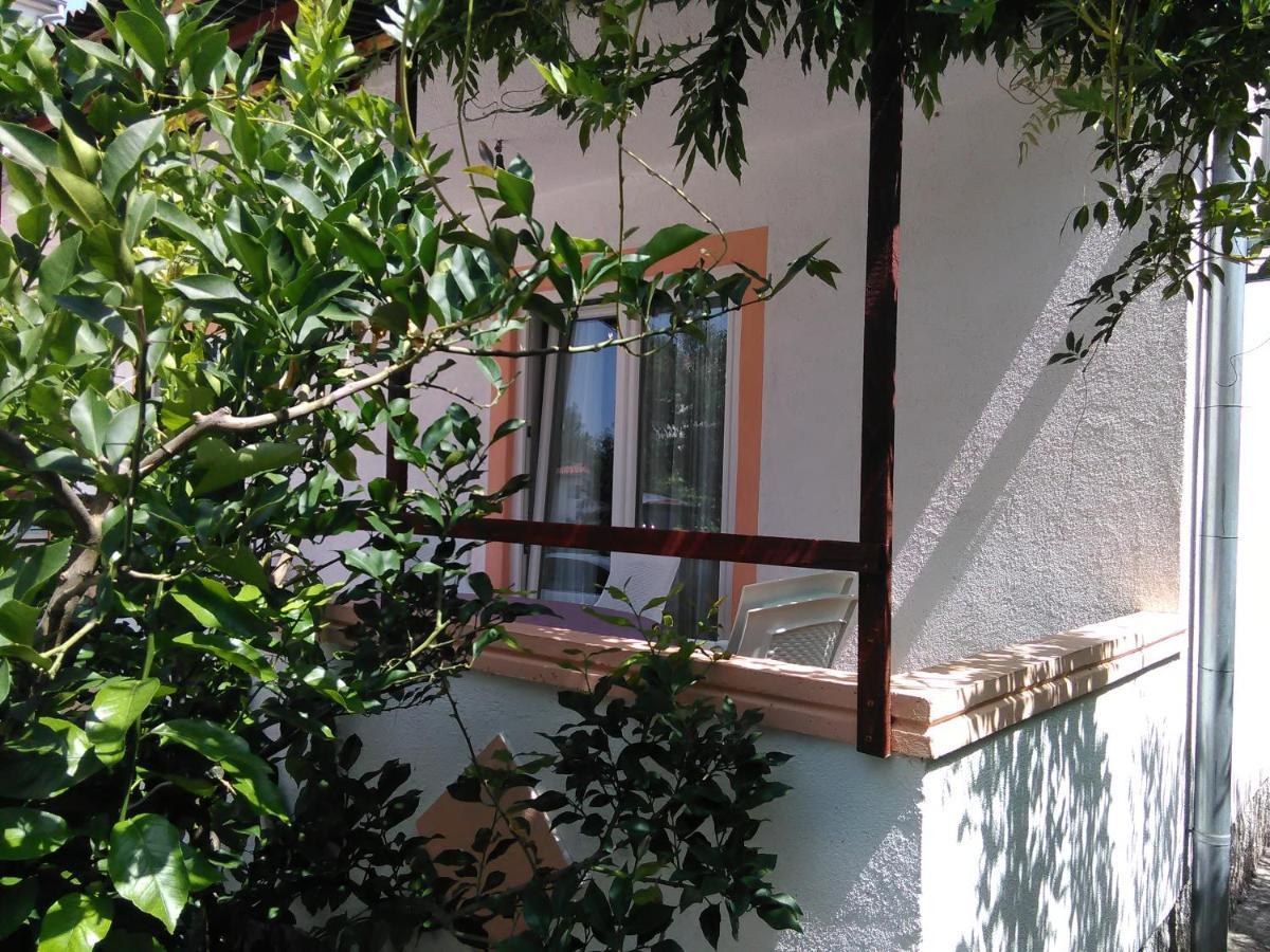 Villa Jadranka Pakoštane Buitenkant foto